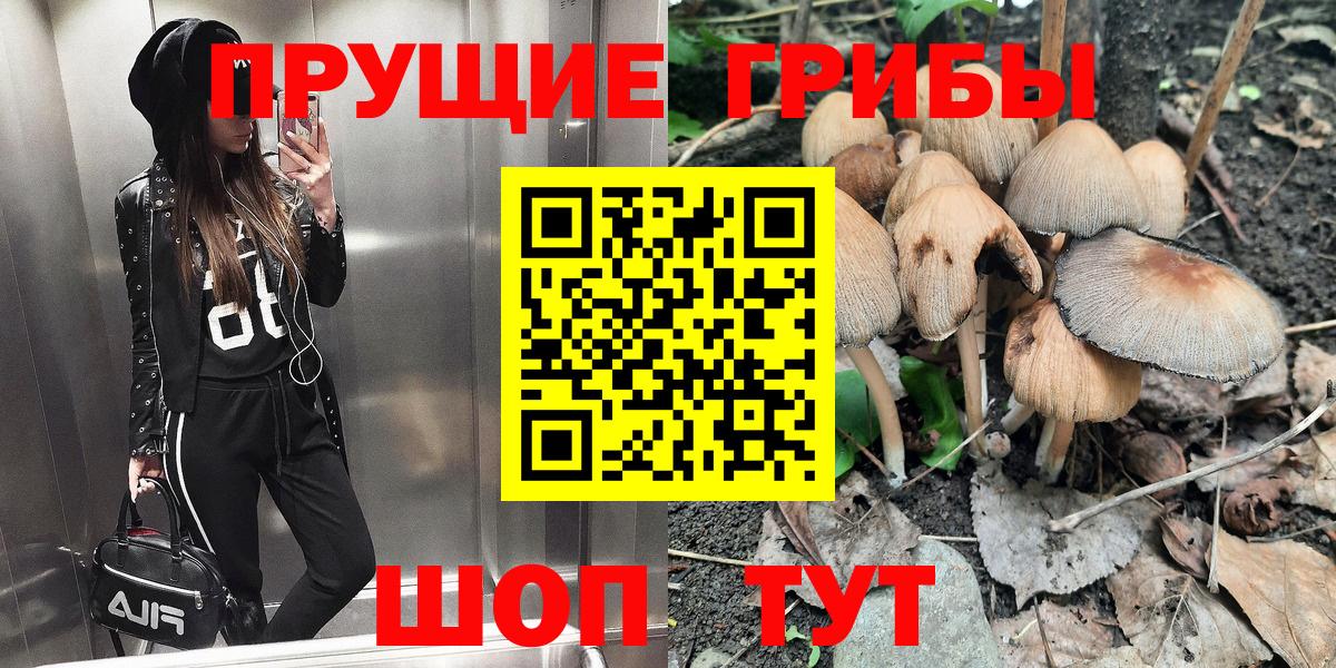 Галлюциногенные грибы MAGIC MUSHROOMS Бугульма